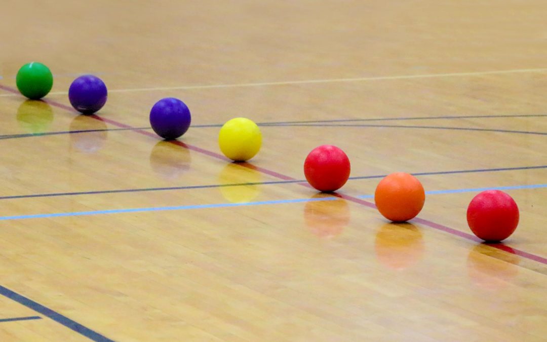 Inter-House Dodgeball Competition Results